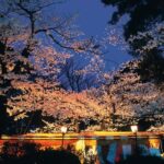 Kenrokuen Garden Admission Ticket - Following the ponds, streams and paths