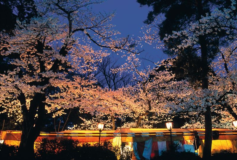 Kenrokuen Garden Admission Ticket - Following the ponds, streams and paths