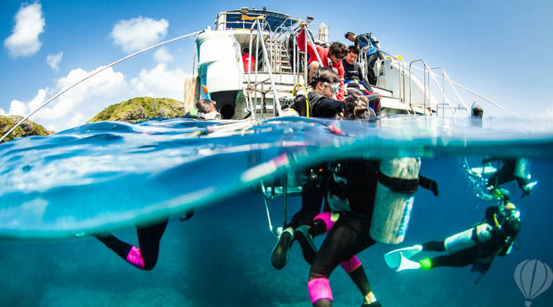 Kerama Island Diving Experience - What the Kerama stops offer