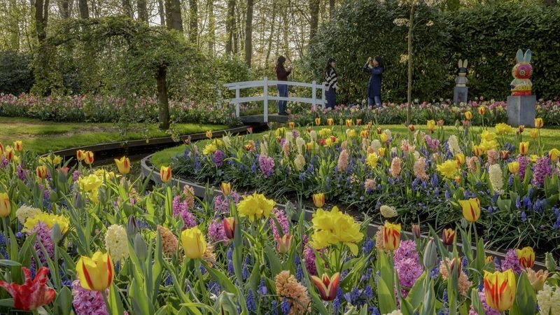 Keukenhof Entry, Transfer & Lovers Canal Cruise Amsterdam - Three hours among Keukenhof’s displays