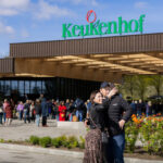 Keukenhof Gardens Ticket & Shuttle from Schiphol Airport with Flexible Return - Walking through Keukenhof’s flower displays