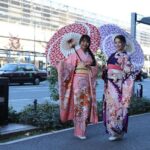 Kimono Rental (Kyoto/Provided by mimosa MK Taxi) - Choosing a kimono, yukata, and accessories