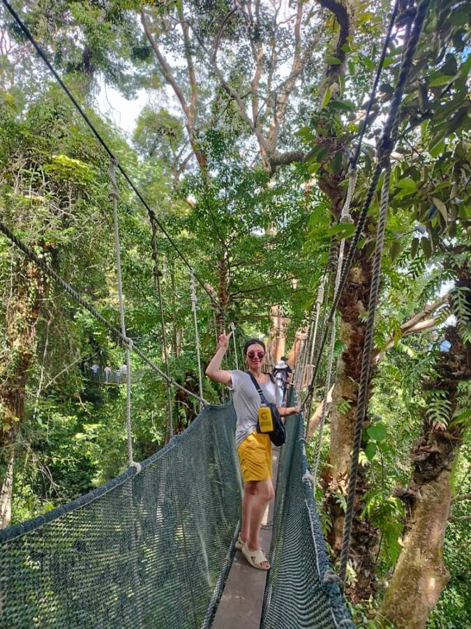 Kinabalu Park & Poring Hot Spring Day Tour in Sabah - Mountain views and market stops