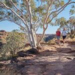 Kings Canyon and Outback Panoramas Tour - Choosing between the rim and the creek bed