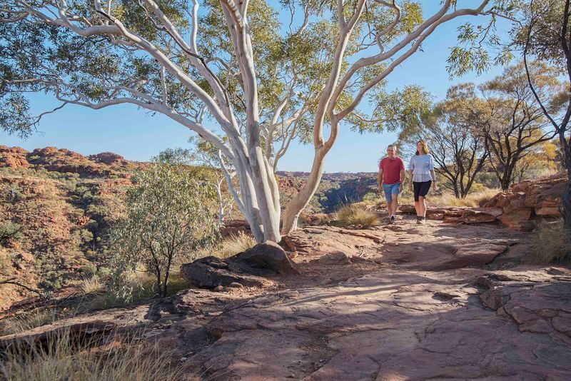 Kings Canyon and Outback Panoramas Tour - Choosing between the rim and the creek bed