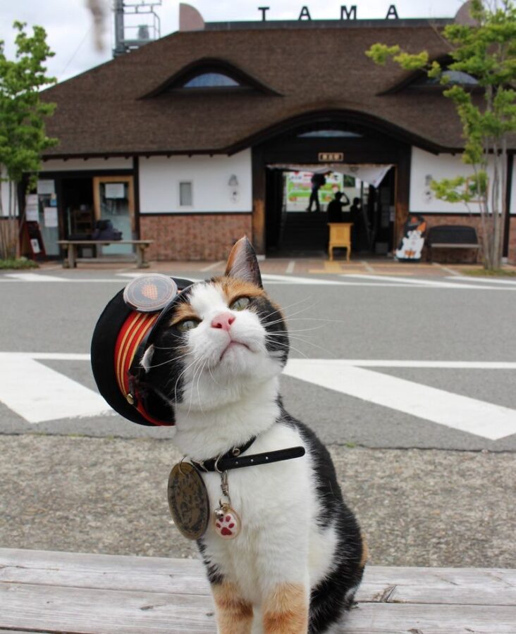 Kishi Station & Shirahama Full-Day Private Charter Tour - What the private charter changes