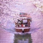 Klook Exclusive: Kyoto Fushimi Jikkokubune Half-Day Small Group Cherry Blossom Tour - Chokenji Temple’s vermilion gate and a short canal walk
