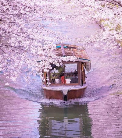 Klook Exclusive: Kyoto Fushimi Jikkokubune Half-Day Small Group Cherry Blossom Tour - Chokenji Temple’s vermilion gate and a short canal walk