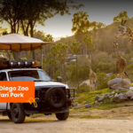 Klook Pass San Diego - Choosing between two, three or five activities