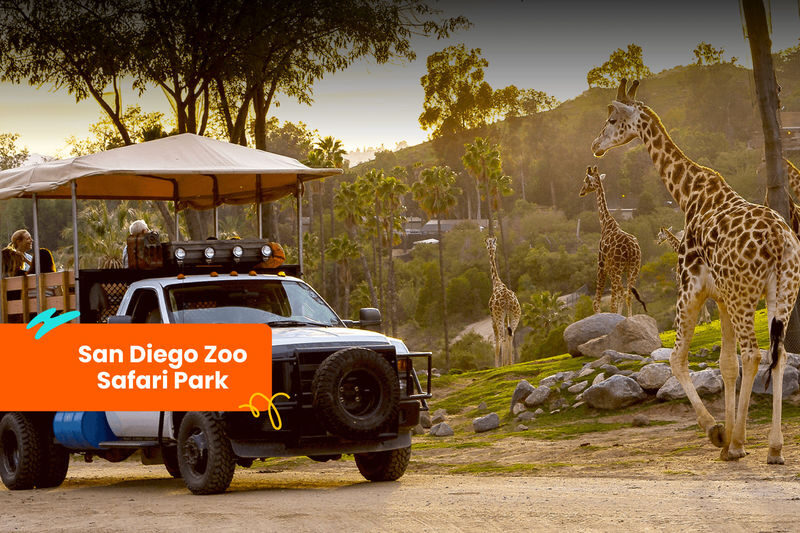 Klook Pass San Diego - Choosing between two, three or five activities