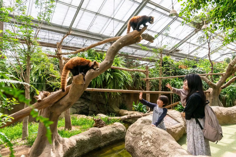 Kobe Animal Kingdom Admission Ticket - Feeding, petting and animal shows