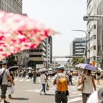 Kobe Half-Day Private Shinto Shrine and Kobe Beef Tour - Kobe beef needs a separate plan