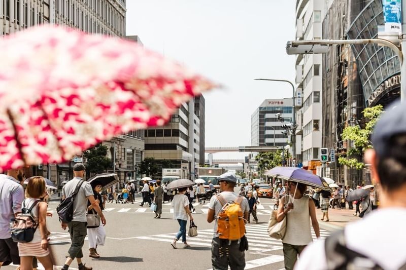Kobe Half-Day Private Shinto Shrine and Kobe Beef Tour - Kobe beef needs a separate plan