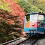 Kobe Rokko Meets Art 2026 beyond Ticket - What the day pass covers