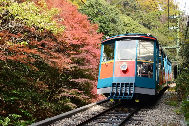 Kobe Rokko Meets Art 2026 beyond Ticket - What the day pass covers