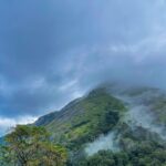 Kochi: Private Kerala Scenic Beauty Day Tour with Lunch - Kuthiran Tunnel and the first village stop
