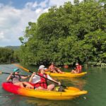 Koh Yao Yai Half-Day Mangrove & Village Kayaking Tour - The scenery is the main reason to go