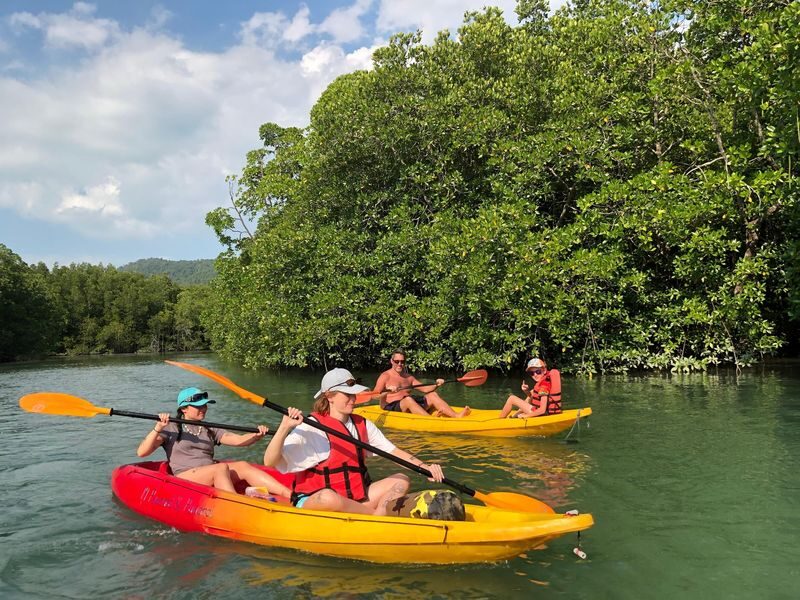 Koh Yao Yai Half-Day Mangrove & Village Kayaking Tour - The scenery is the main reason to go