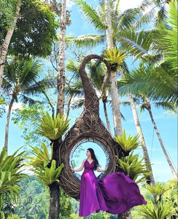 Koi Pond Bali Photoshoot & Ubud Instagramable Tour - What the day’s timing means