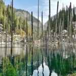 Kolsai Lake & Kaindy Lake One-day Nature & Guided Tour - Kaindy Lake takes extra planning