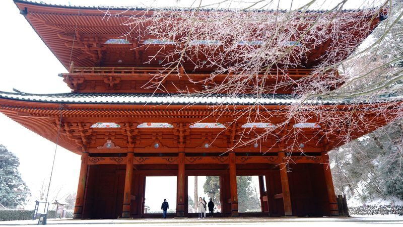 Koyasan & Okunoin Small Group Day Tour from Osaka - Getting your bearings at Daimon Gate