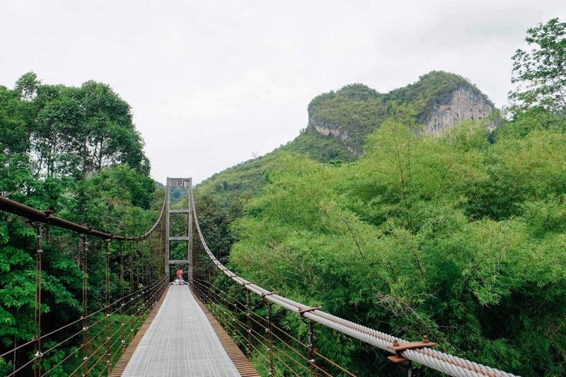 Krabi Cheow Lan Lake 2-Day Guided Safari Experience - Starting in Krabi, then heading to Suratthani