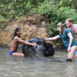 Krabi Elephant Care House Experience - From hotel pickup to the elephant area