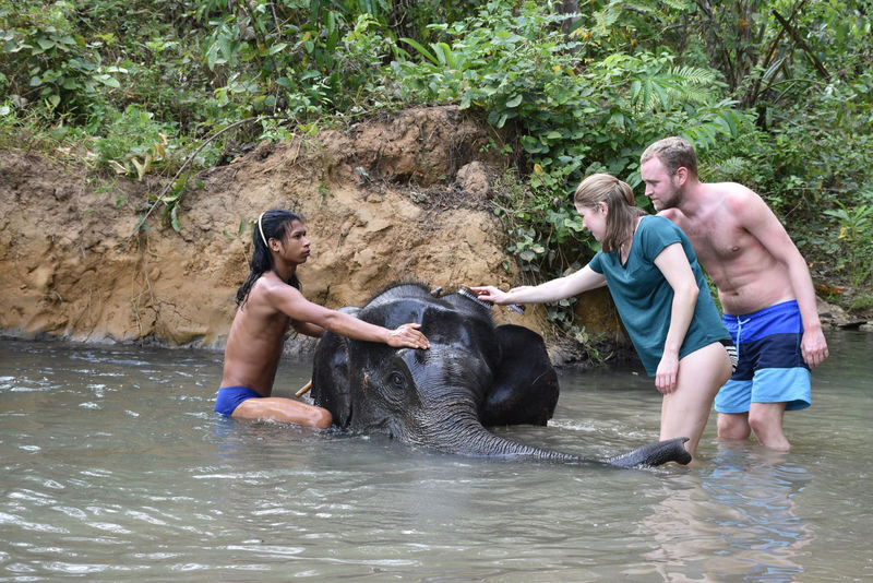 Krabi Elephant Care House Experience - From hotel pickup to the elephant area