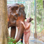 Krabi Elephant Shelter Experience - What happens from pickup to the shelter