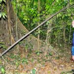 Krabi Khao Sok National Park 3-Day Guided Safari - Kayaking brings the scenery down to river level