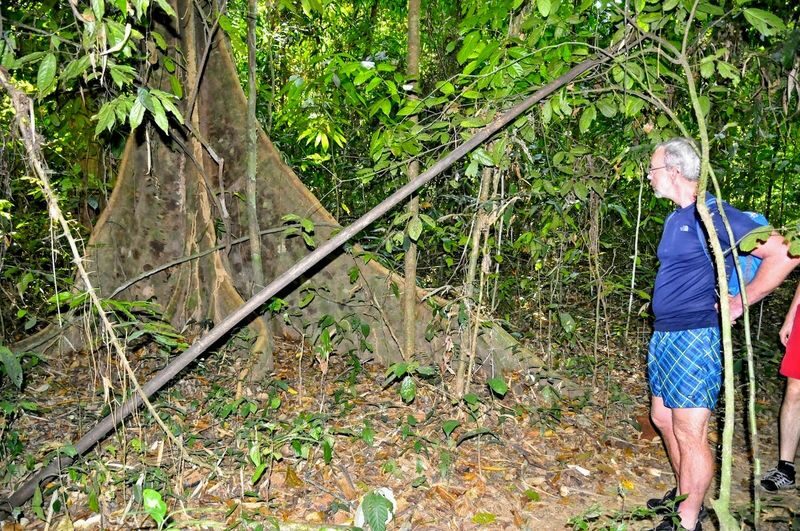 Krabi Khao Sok National Park 3-Day Guided Safari - Kayaking brings the scenery down to river level