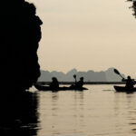 Krabi: Mangrove Kayak x Elephant Shelter Tour with Private Transfer - The elephant shelter visit at noon