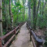 Krabi Outback Explorer: Emerald Pool Wareerak Hotspring (from Krabi) - The Blue Pool: a short extra walk