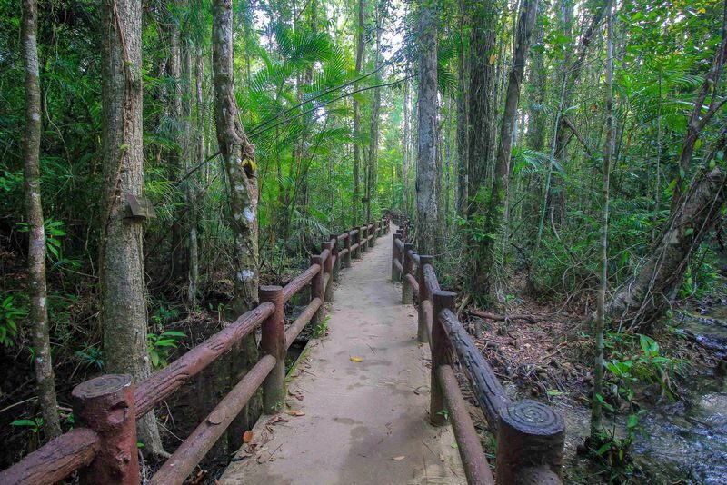 Krabi Outback Explorer: Emerald Pool Wareerak Hotspring (from Krabi) - The Blue Pool: a short extra walk