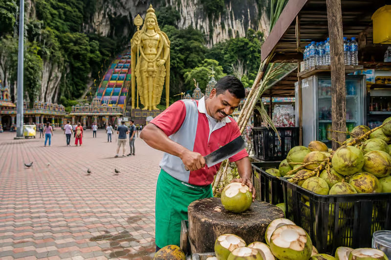 Kuala Lumpur Batu Caves Half-Day Tour with Coconut Water - A guide can make the visit more meaningful