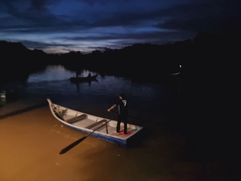 Kuala Lumpur Kuala Selangor Full-Day Tour - Monkey Hill and a seafood supper
