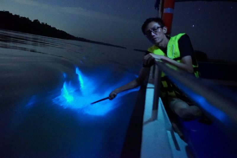 Kuala Selangor Fireflies & Blue Tears Night Tour - A set dinner in a fishing village