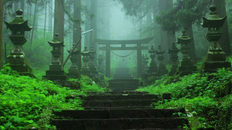 Kumamoto Departure Aso Area Chartered Car Day Tour | Kumamoto Castle | Mount Aso Crater | Kusasenri | Kamishikimi Kumanoza Shrine | Shirakawa Spring Source | Aso Shrine | Daikanbo | Nabe Falls | Kurokawa Onsen, etc. - Choose a route that fits the day