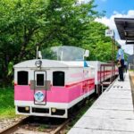 Kumamoto Mount Aso & Takachiho Gorge Full-Day Tour - What Mount Aso adds to the day