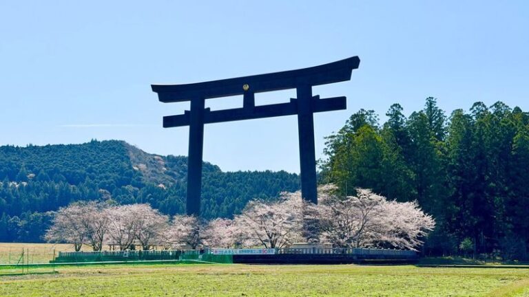 Kumano Kodo & Kumano Sanzan Full-Day Pilgrimage Tour - Walking a stretch of the Kumano Kodo