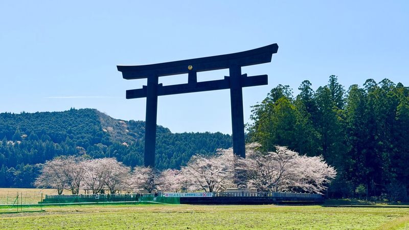 Kumano Kodo & Kumano Sanzan Full-Day Pilgrimage Tour - Walking a stretch of the Kumano Kodo