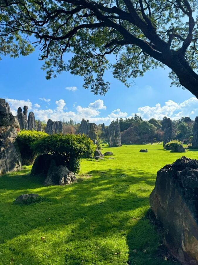 Kunming Stone Forest & Jiuxiang Full-Day Experience - What the Stone Forest and Jiuxiang pairing offers