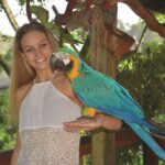 Kuranda Bird World Ticket in Cairns - The cassowary and the birds to look for