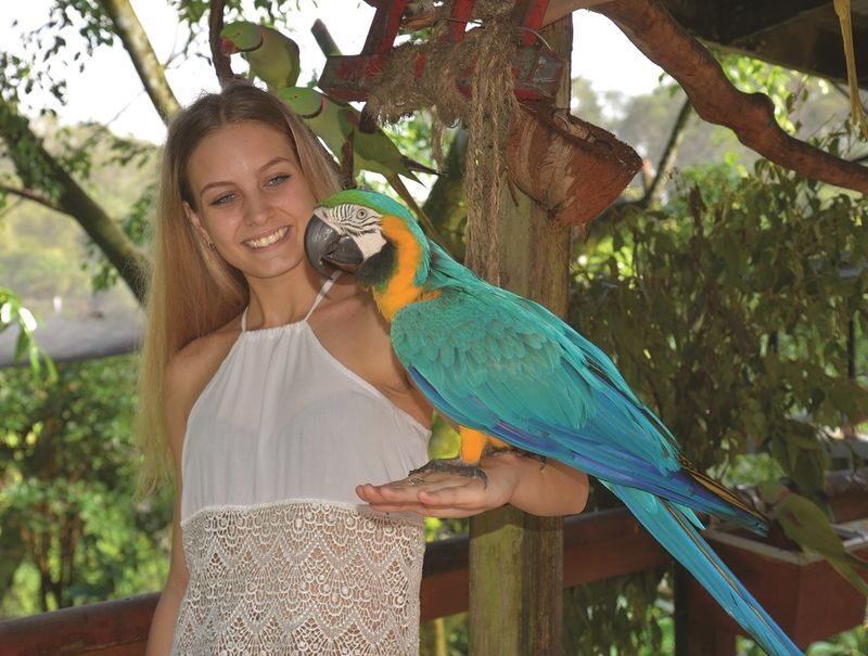Kuranda Bird World Ticket in Cairns - The cassowary and the birds to look for