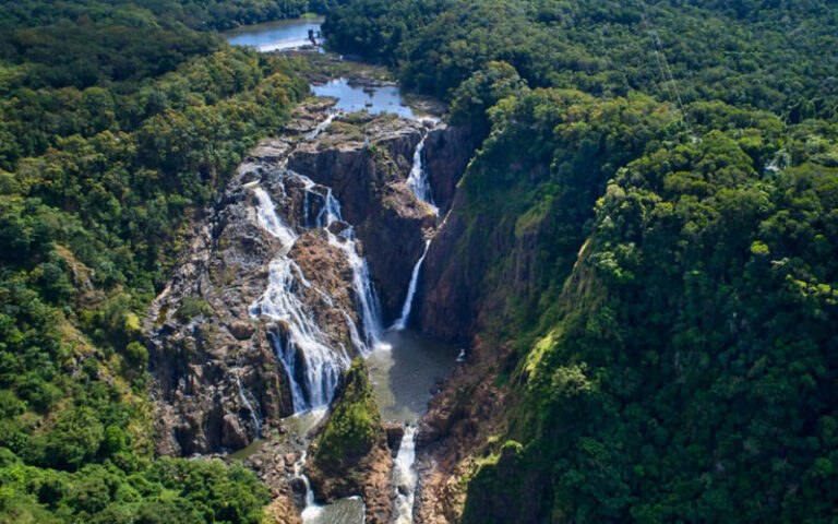 Kuranda Range and Barron Gorge National Park Half-Day 4WD Tour - What a 4WD adds to the experience