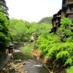 Kurokawa Onsen Private Transfer Optional Aso Sightseeing Tour - Your airport pickup, from arrivals to the car