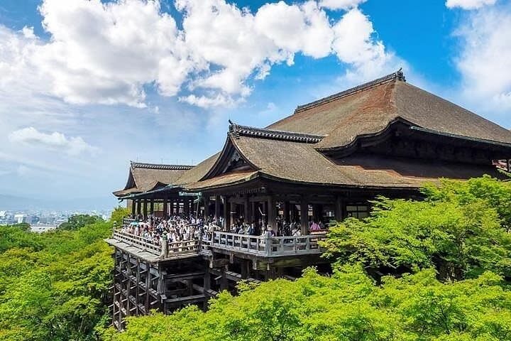Kyoto 6hr Private Tour with Government-Licensed Guide - Why a guide can make the city easier to read