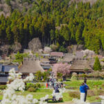 Kyoto Amanohashidate & Ine Funaya Day Trip (Optional Tango Train and Miyama Route) - Ine Funaya: a village built around the sea