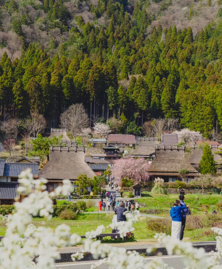 Kyoto Amanohashidate & Ine Funaya Day Trip (Optional Tango Train and Miyama Route) - Ine Funaya: a village built around the sea