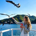 Kyoto Amanohashidate & Ine Funaya Full-Day Guided Tour - What Amanohashidate adds to the day